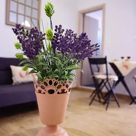 Mariza 1920 Apartman