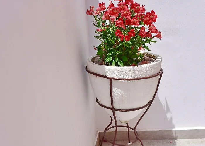 شقة Mariza 1920 *