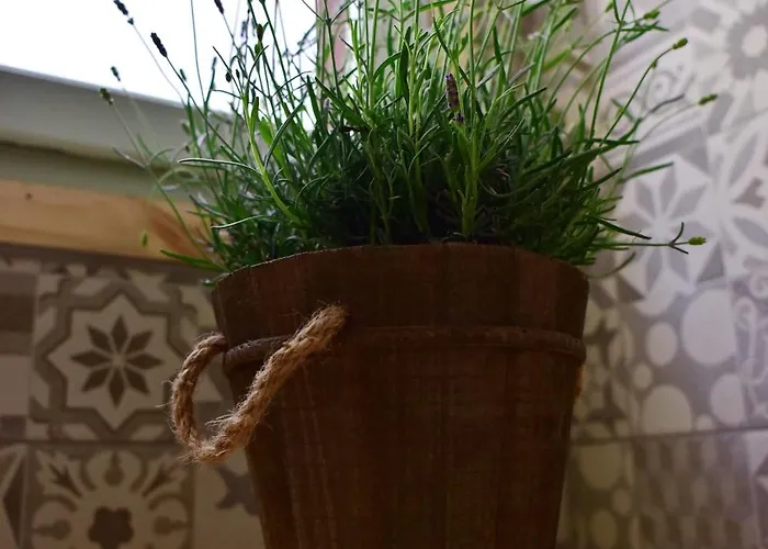 Mariza 1920 Rhodes City