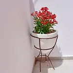 Apartament Mariza 1920 *