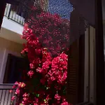 Mariza 1920 Apartament Rhodes City